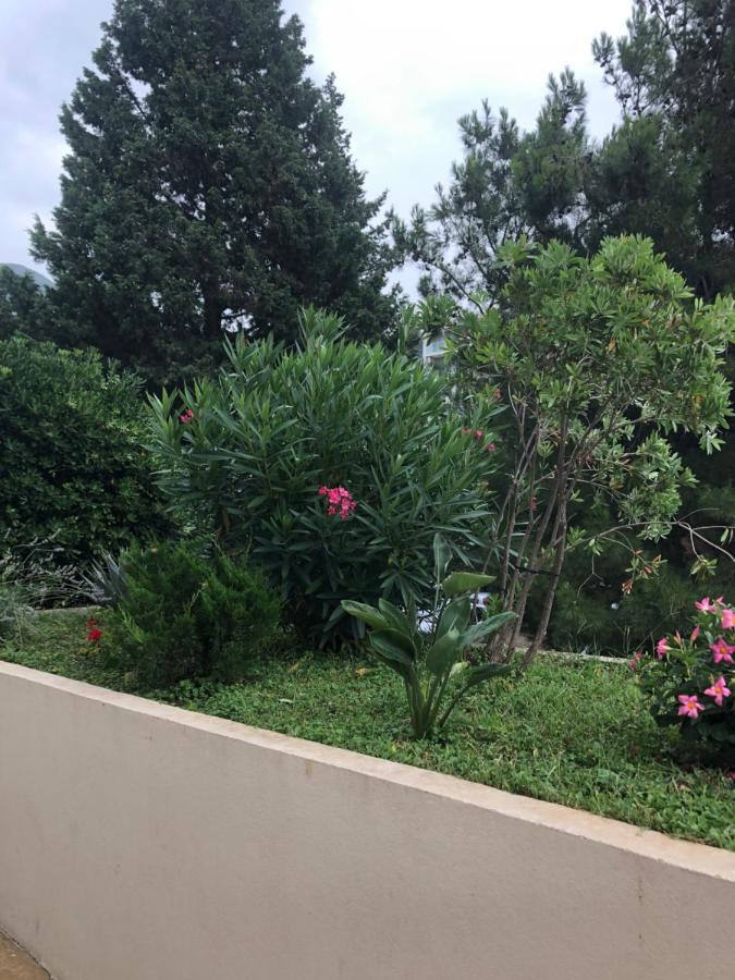 Adriatic Apartment Budva
